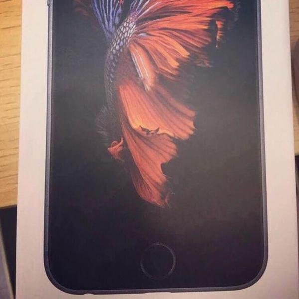 iPhone-6s--Package-2-Sep-2015
