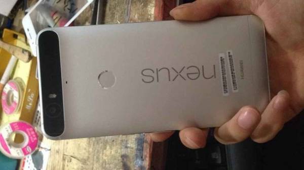 新型Nexus6